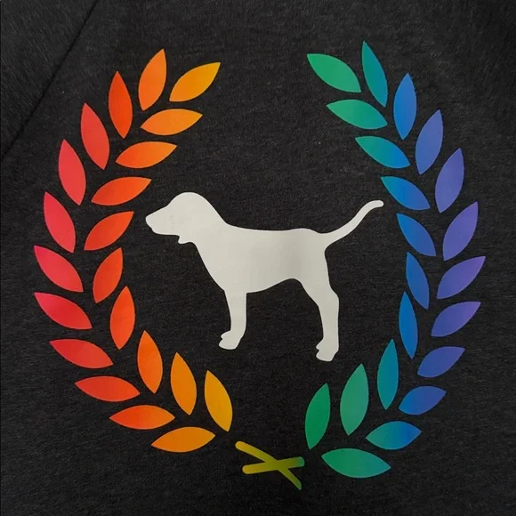 Victoria’s Secret Pink Rainbow Crest Sweatshirt Sz M - Picture 9 of 10